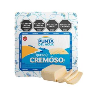 QUESO CREMOSO PUNTA DEL AGUA  KG